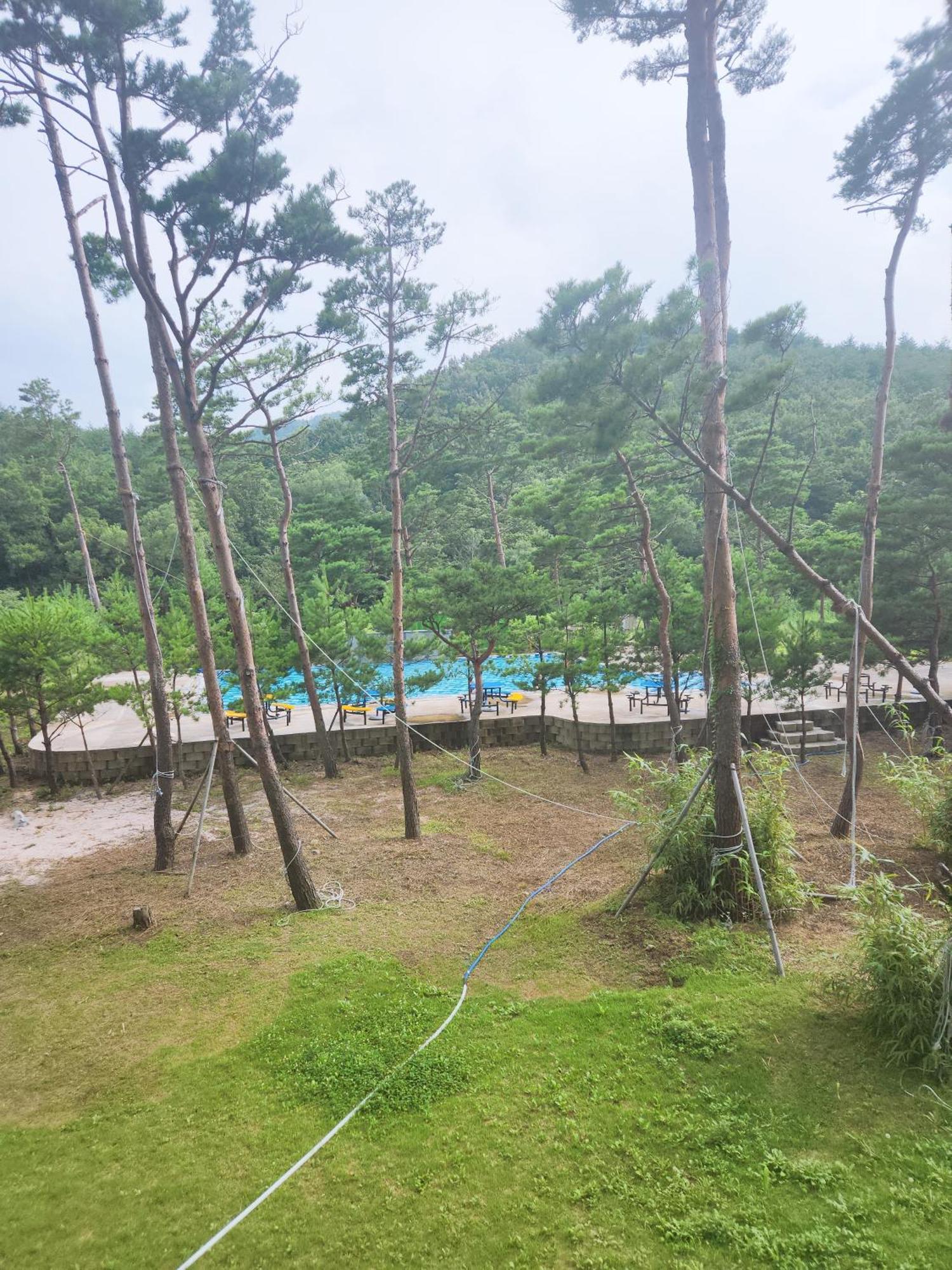 Sokcho Daemyung Heidi Pension エクステリア 写真