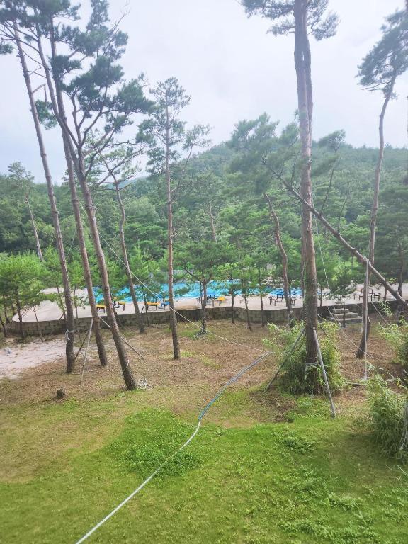 Sokcho Daemyung Heidi Pension エクステリア 写真